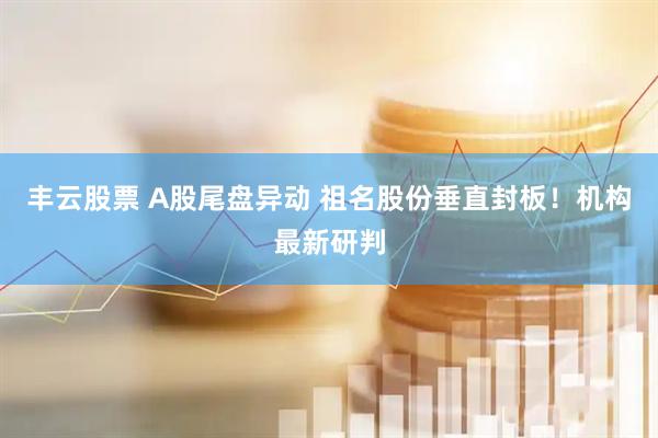 丰云股票 A股尾盘异动 祖名股份垂直封板！机构最新研判