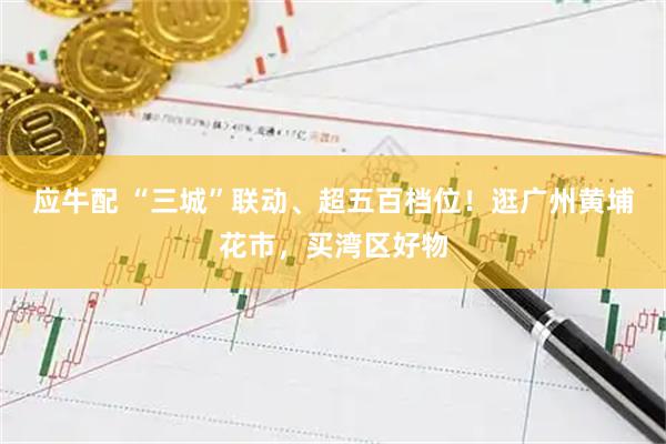 应牛配 “三城”联动、超五百档位！逛广州黄埔花市，买湾区好物