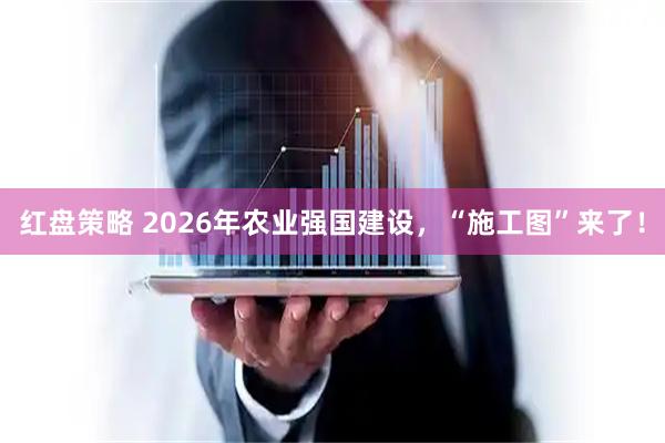 红盘策略 2026年农业强国建设，“施工图”来了！