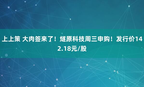 上上策 大肉签来了！燧原科技周三申购！发行价142.18元/股